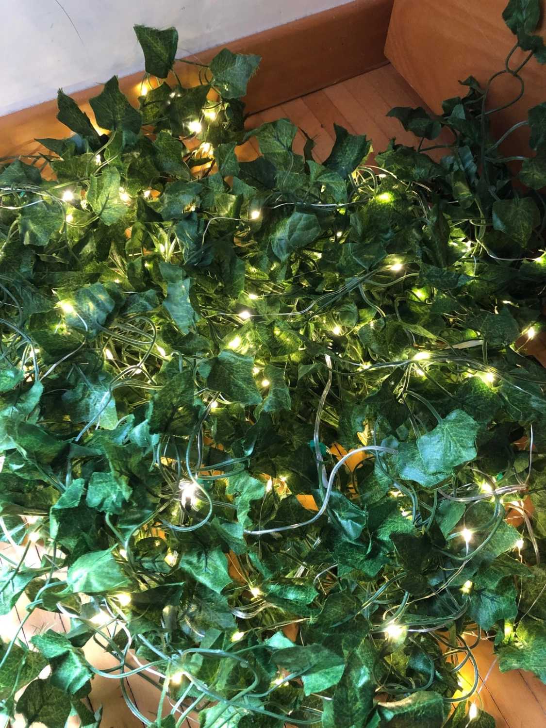 Edera ornamentale luminosa