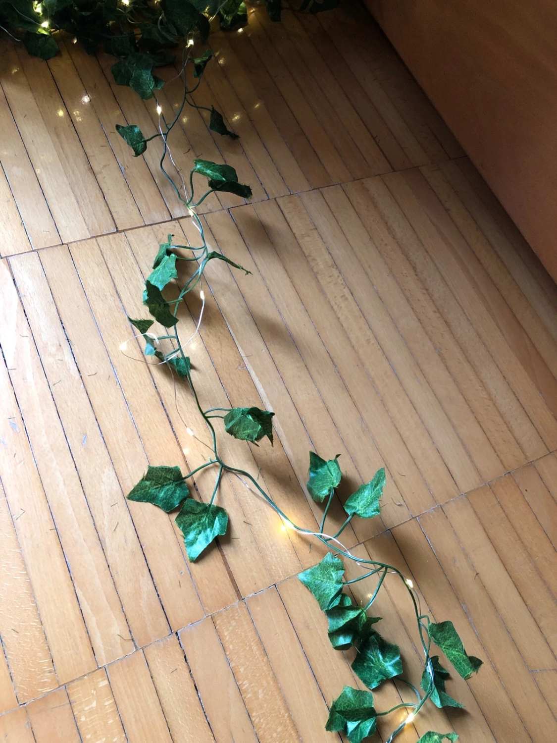 Edera ornamentale luminosa