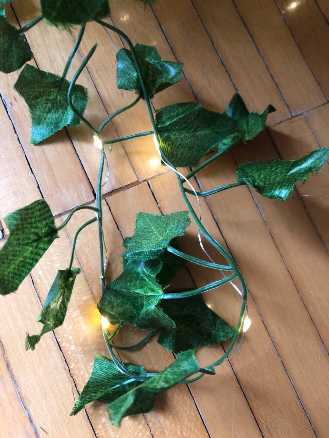 Edera ornamentale luminosa