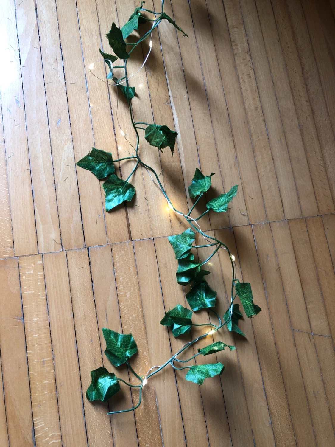 Edera ornamentale luminosa